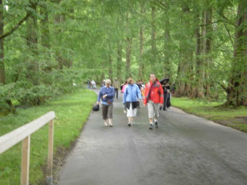 et nous sommes allés faire une belle promenade dans l'ile de Mainau