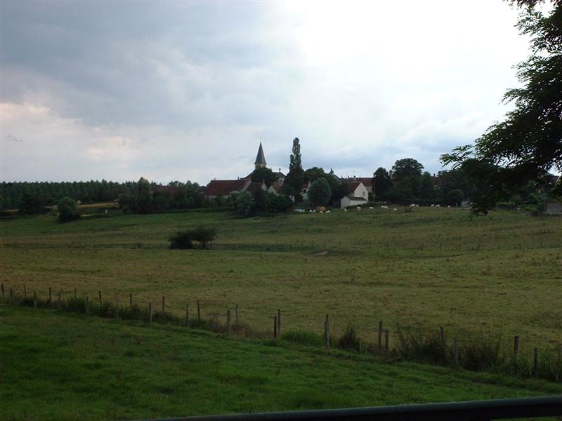 DSCF0054 (Medium).JPG