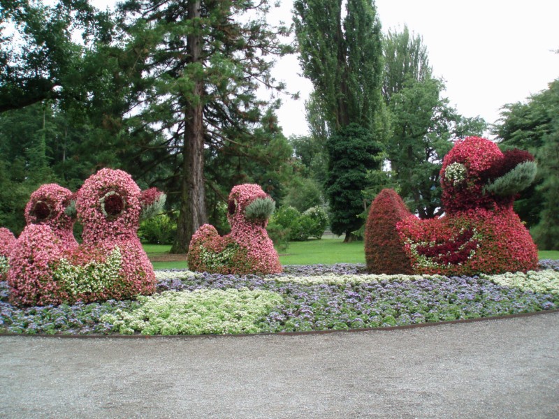 L'ile Mainau