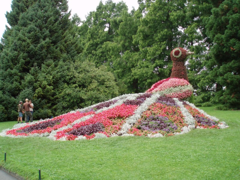 L'ile Mainau