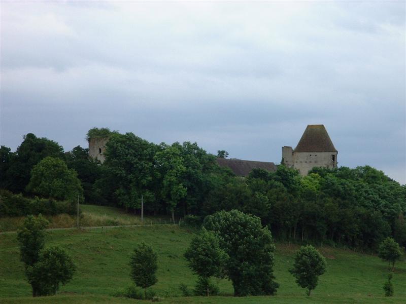 DSCF0055 (Medium).JPG