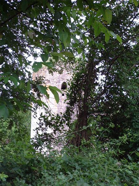DSCF0056 (Medium).JPG