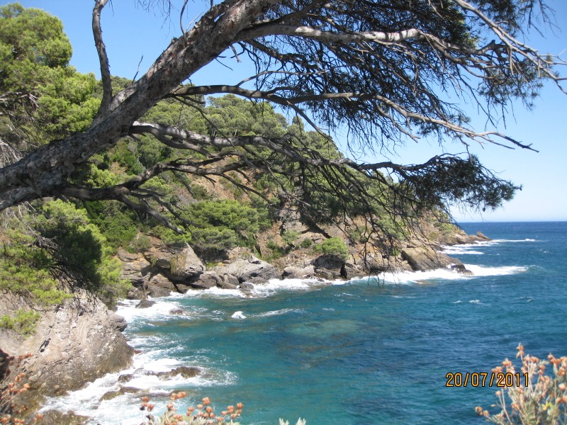 IMG_5617 (800x600).jpg