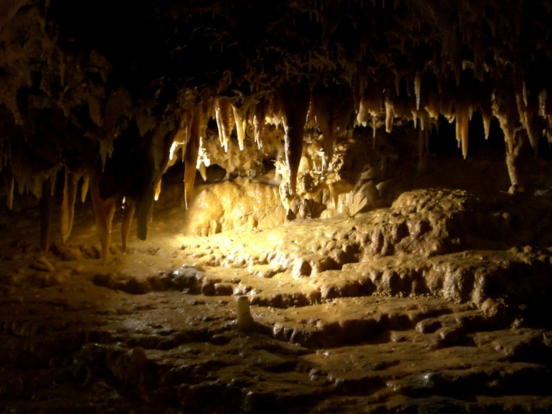 CIMG1226 (Copier).JPG