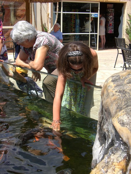 CIMG1259 (Copier).JPG