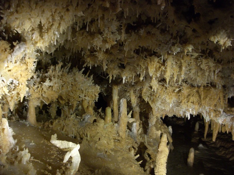 CIMG1227 (Copier).JPG