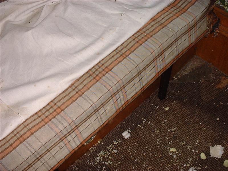 DSCF0015 (Medium).JPG