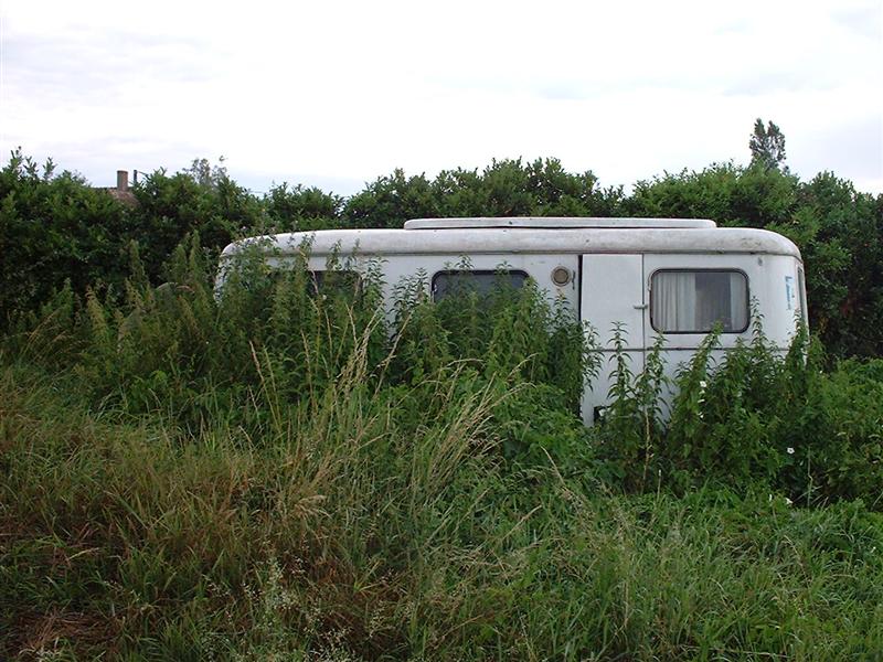 DSCF0018 (Medium).JPG