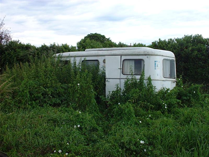 DSCF0019 (Medium).JPG
