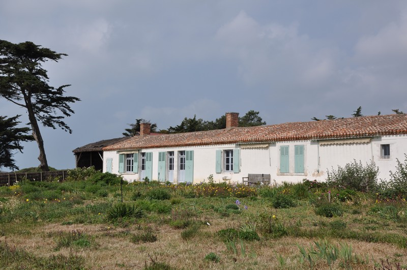 maison à découvrir.JPG