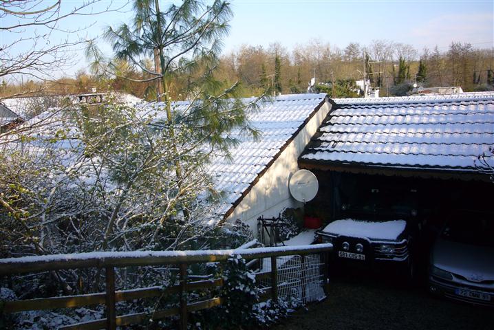 P1060546[1] (Small).jpg