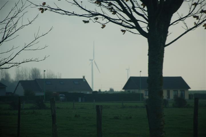 DSC_8248 (Small).JPG