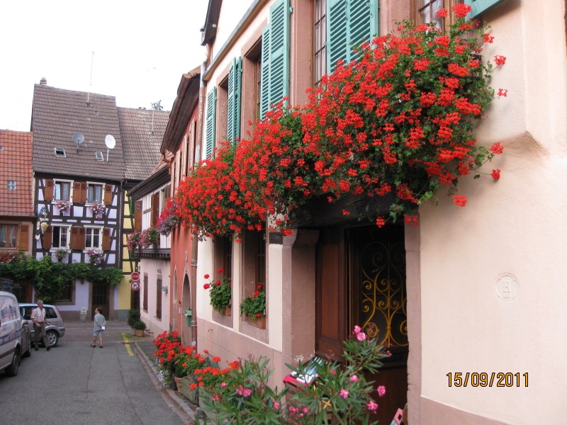 IMG_6291 (800x600).jpg