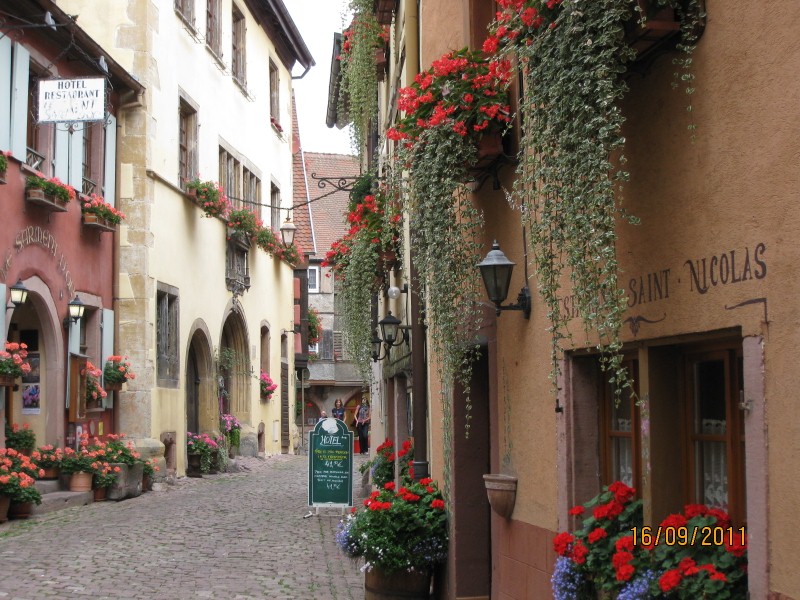 IMG_6380 (800x600).jpg