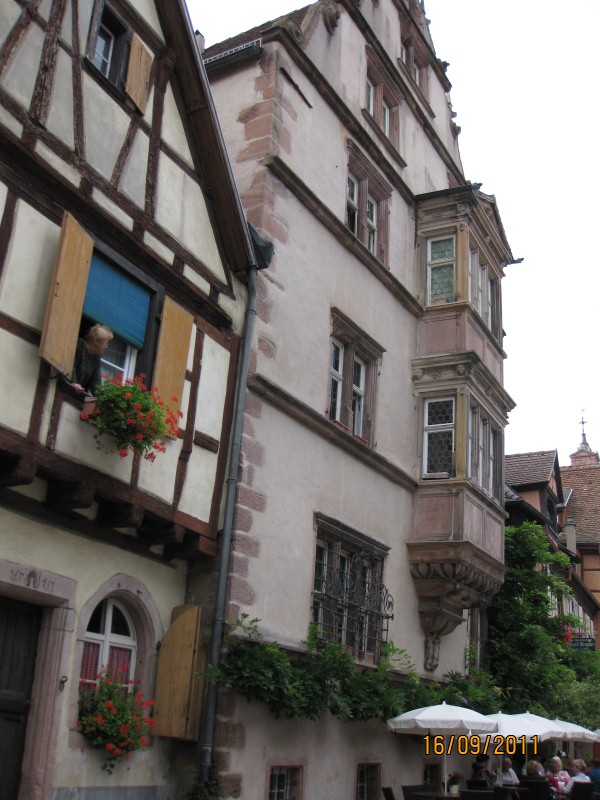 IMG_6393 (600x800).jpg