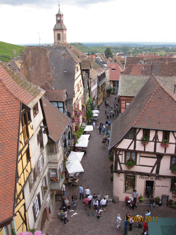 IMG_6444 (600x800).jpg