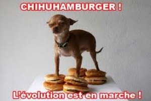 Hamburger Mexicain [800x600].jpg