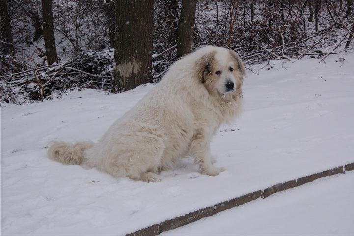 DSC_9040 (Small).JPG