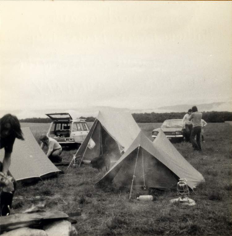 231.JPG