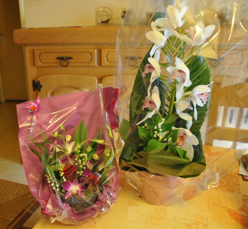 1er Mai [1024x768].jpg