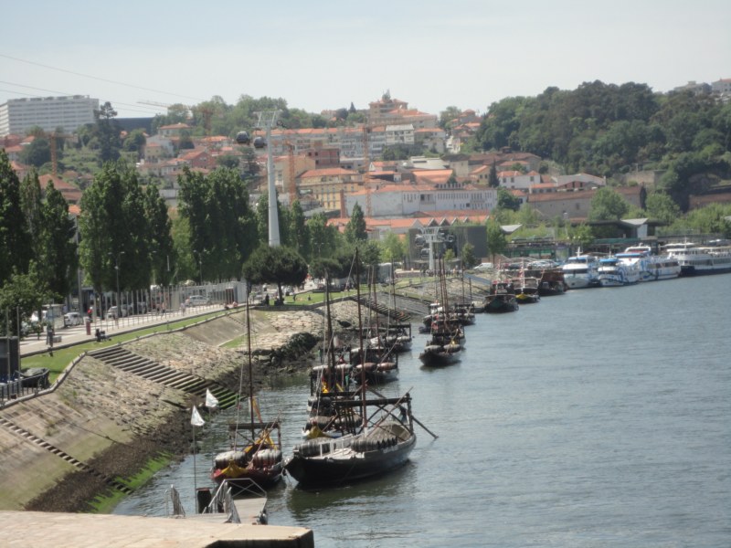 DSC03056 [800x600].jpg