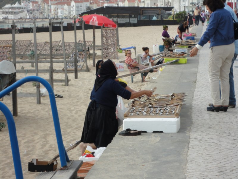 DSC03075 [800x600].jpg