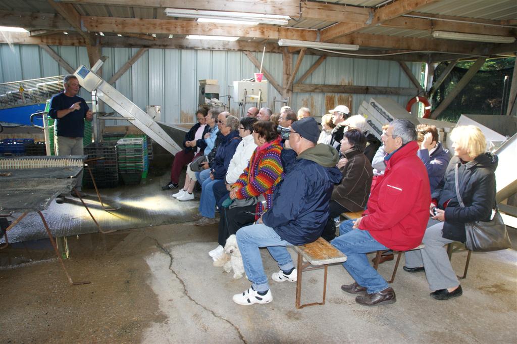 DSC03241 (Large).JPG