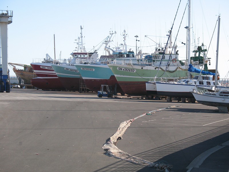 IMG_0622 [800x600].JPG