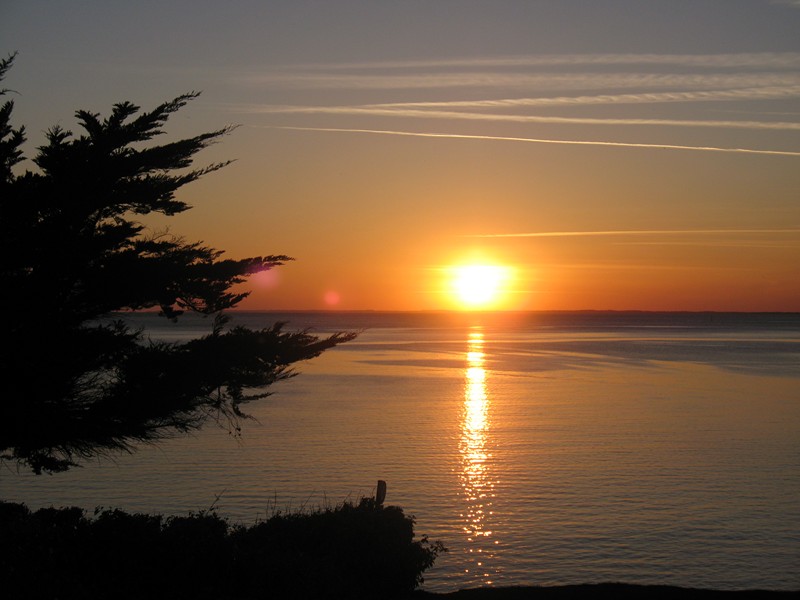 IMG_0643 [800x600].JPG