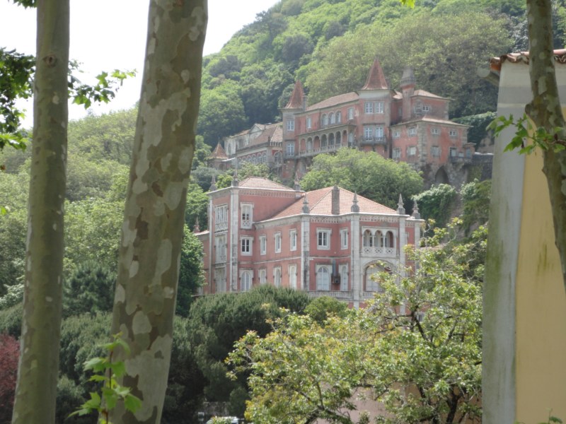 DSC03170 [800x600].jpg