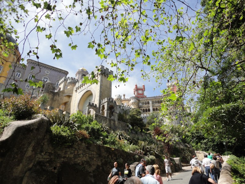 DSC03184 [800x600].jpg