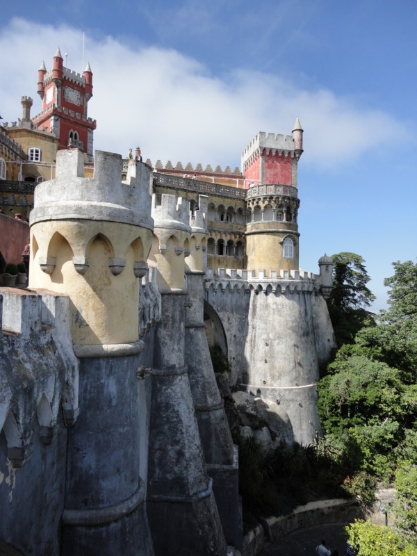 DSC03198 [800x600].jpg