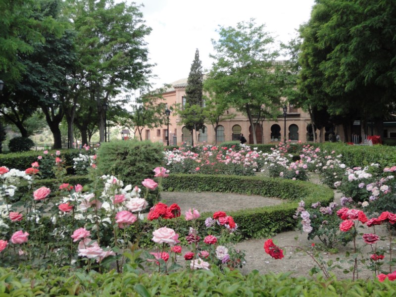 DSC03236 [800x600].jpg