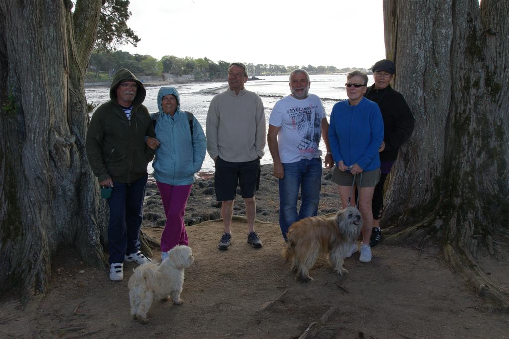 DSC03342 (Large).JPG