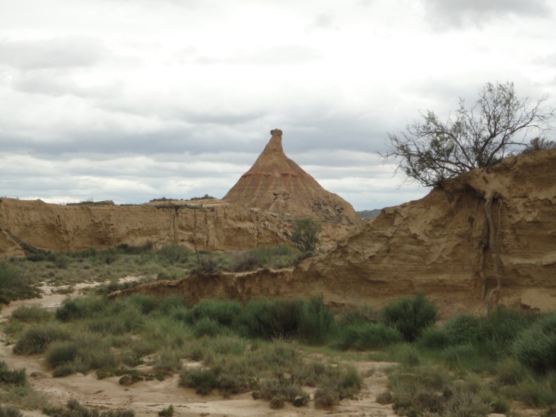 DSC03290 [800x600].jpg