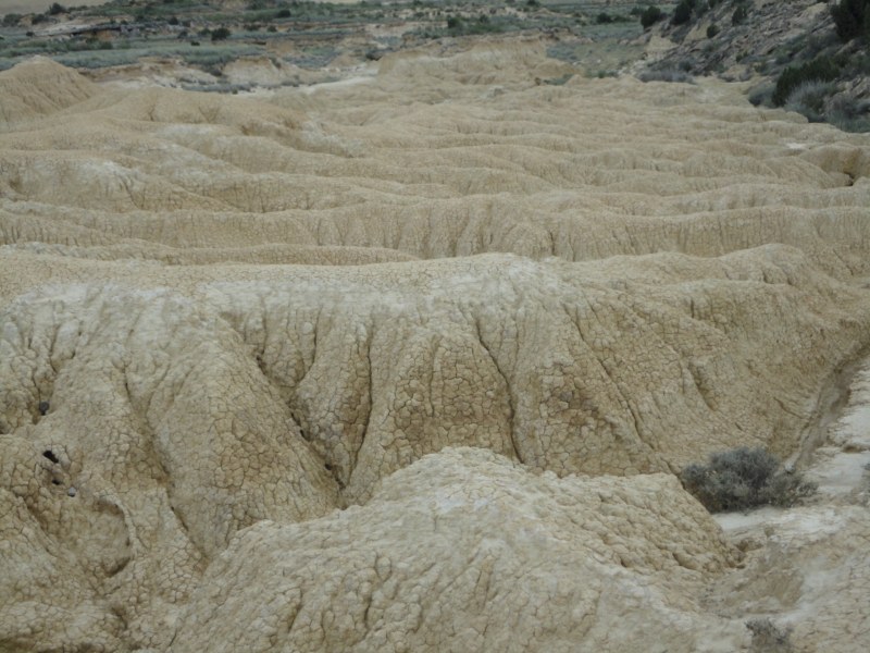 DSC03298 [800x600].jpg