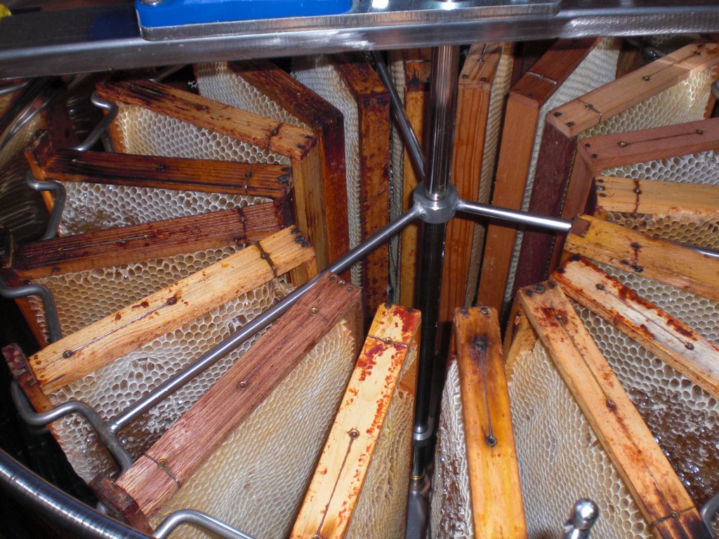 l'extracteur (1024x768).jpg