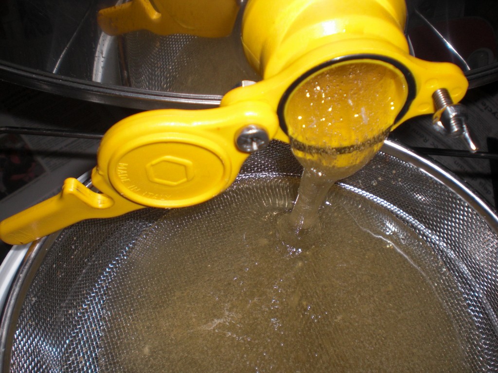 le miel coule, filtrge (1024x768).jpg