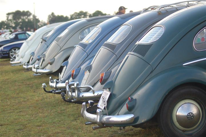 DSC_0572 (Small).JPG