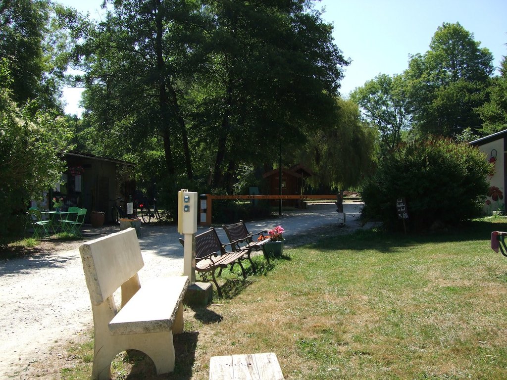 DSCF3335.jpg