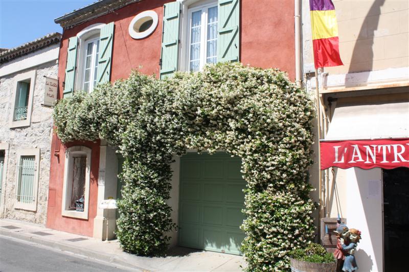 Visite d'Aigues Mortes