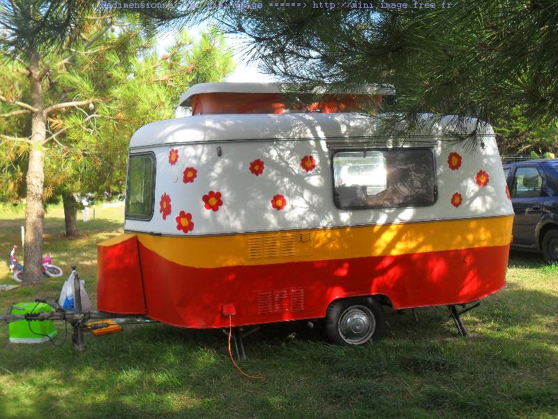 SAM_3621-MiNi.JPG