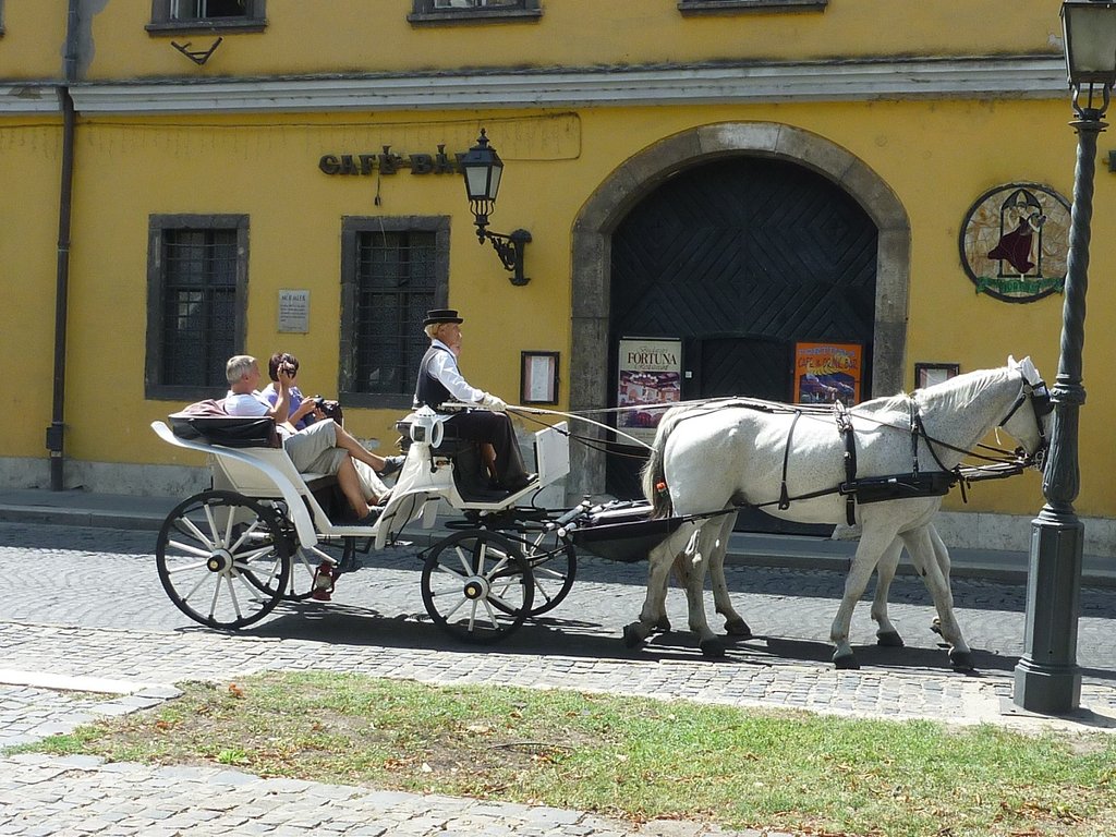 18 carosse Buda.JPG