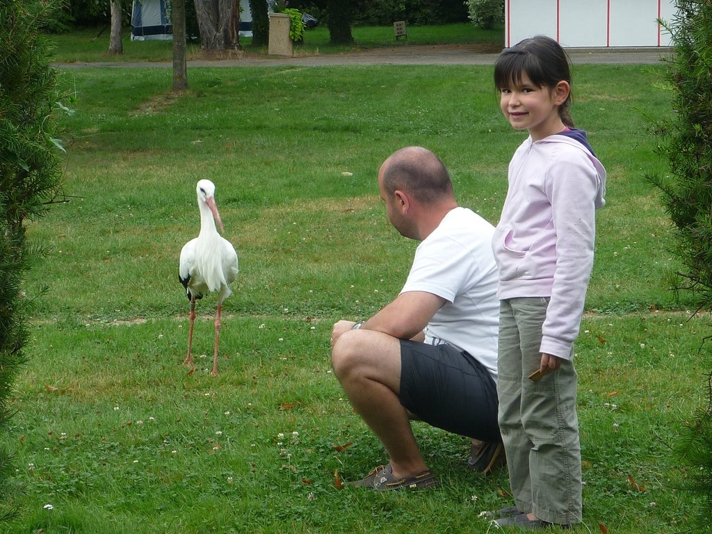 100 copine au camping de cernay.JPG