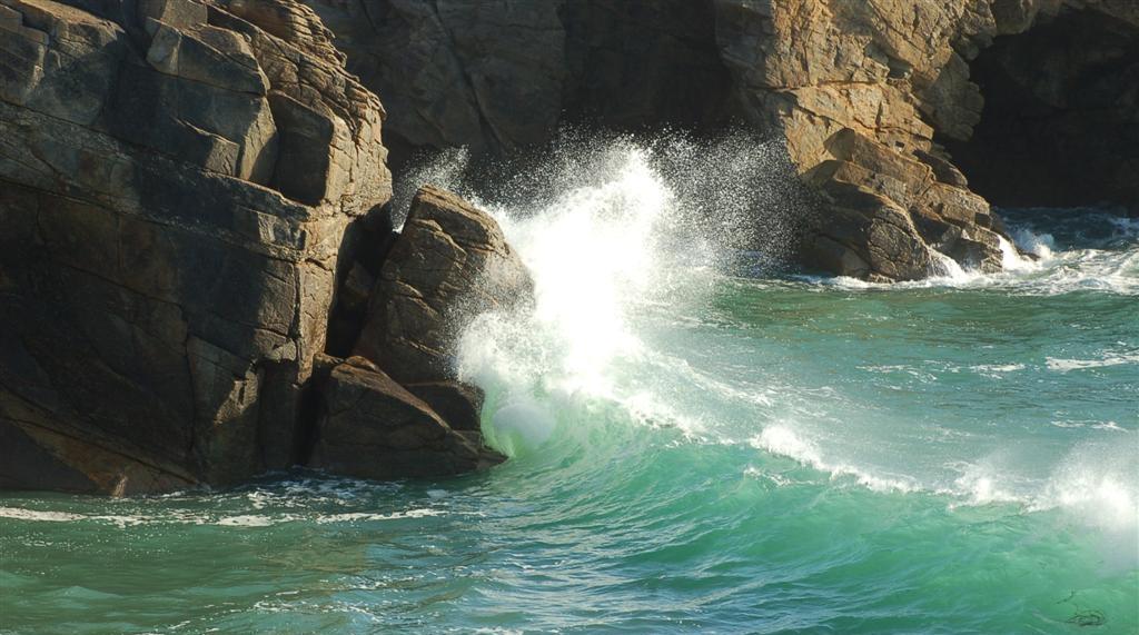 Morbihan Cote sauvage (Large).JPG