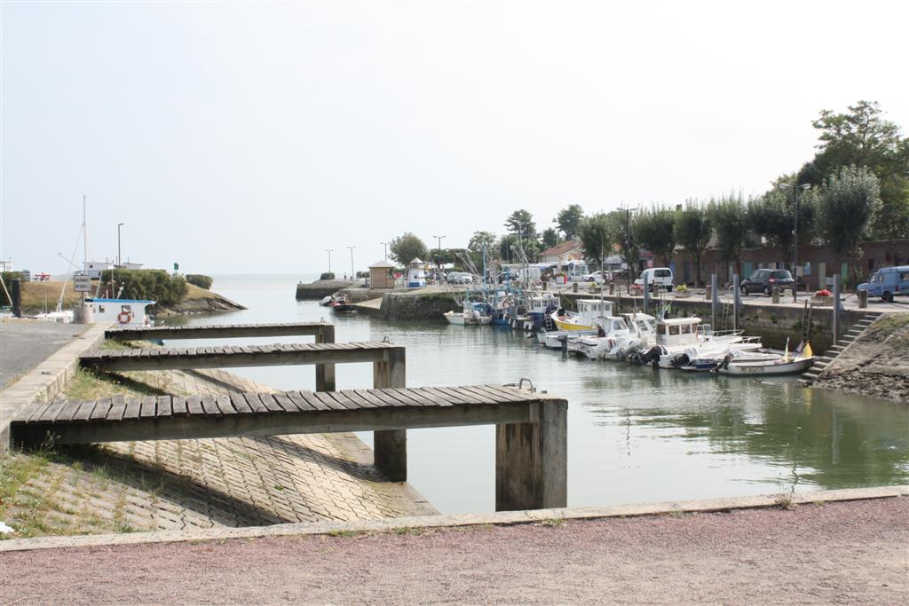 IMG_5897 (Large).JPG