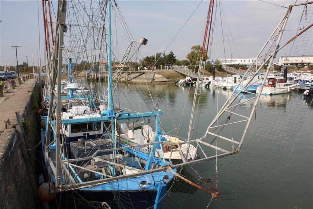 IMG_5899 (Large).JPG