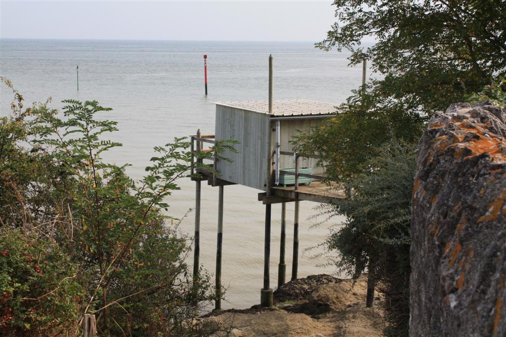 IMG_5907 (Large).JPG