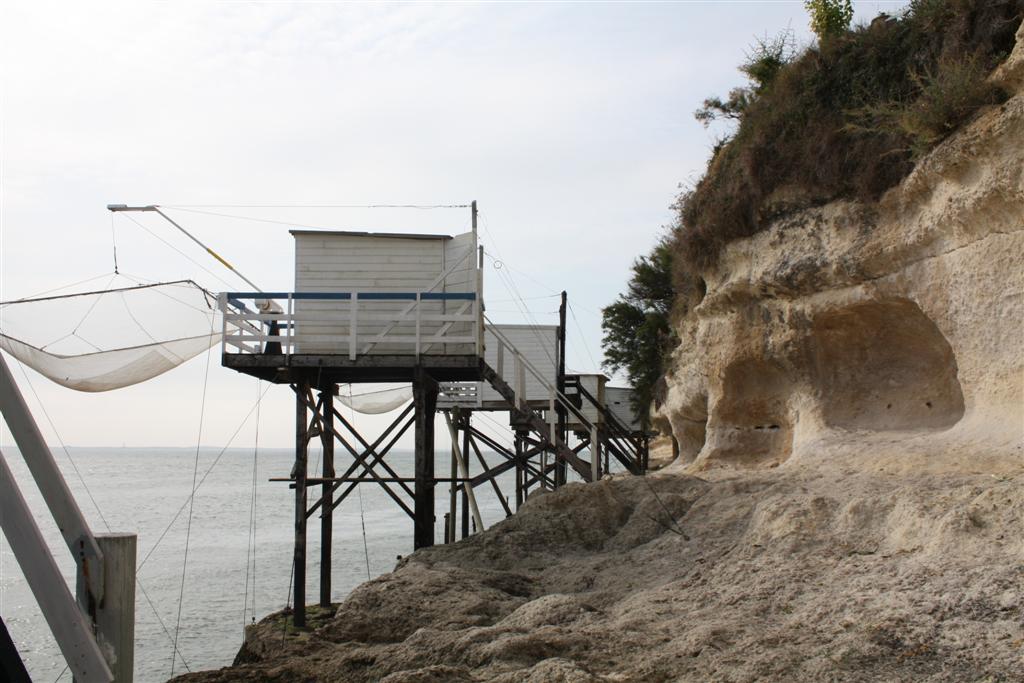 IMG_5909 (Large).JPG