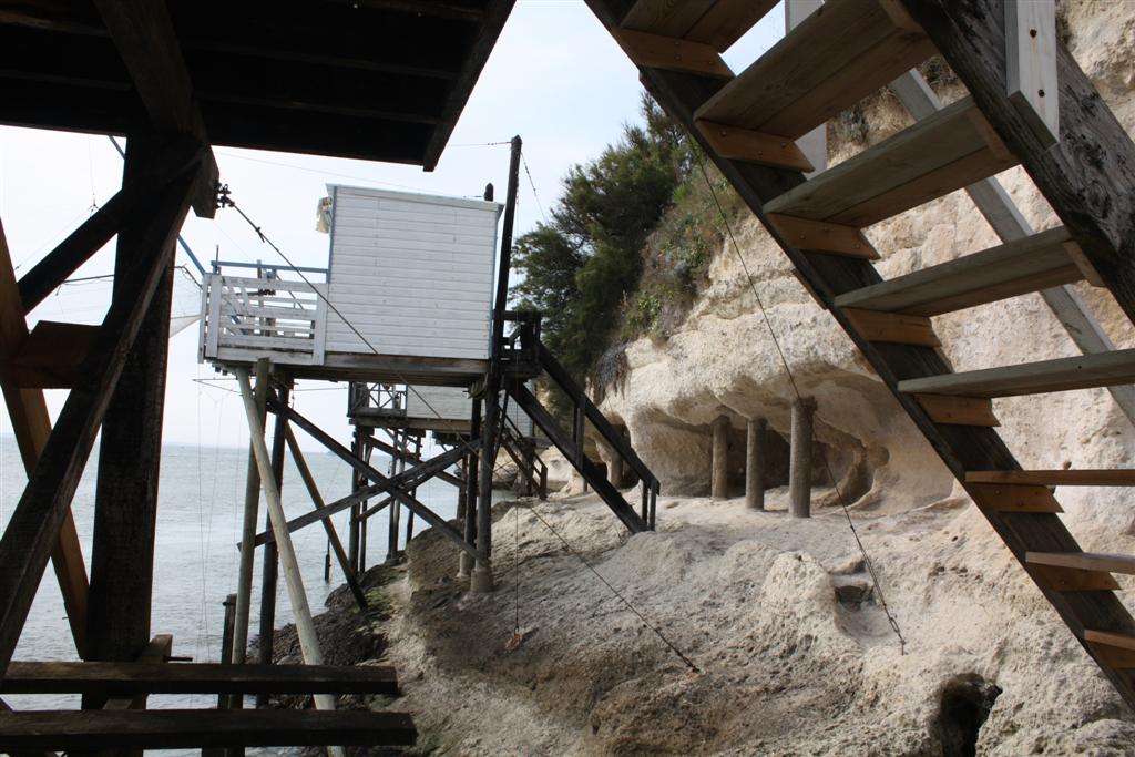 IMG_5910 (Large).JPG